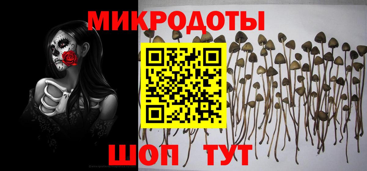 Галлюциногенные грибы Magic Shrooms  Вход с VPN  Галлюциногенные грибы мухоморы  Мелеуз 